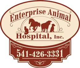 EAH logo