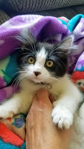 Edna