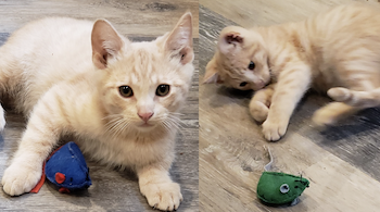 Jacob and Jasper