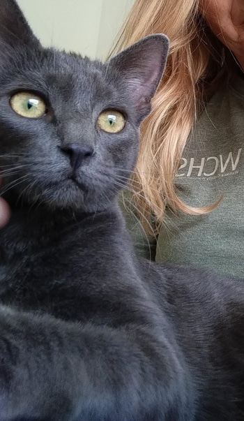 Cinder