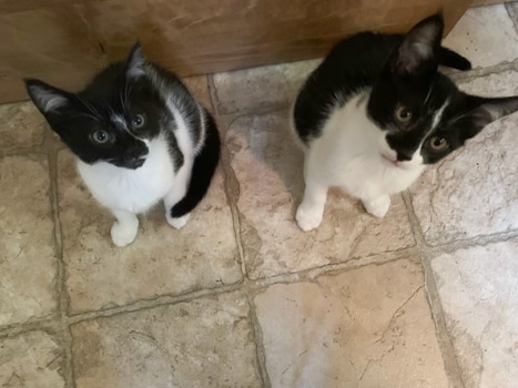 Ruthie and Marty