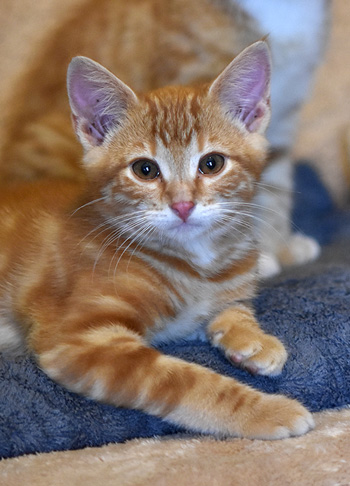 Rusty