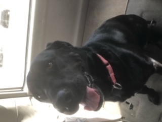 Luna