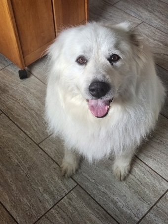 Bonnie