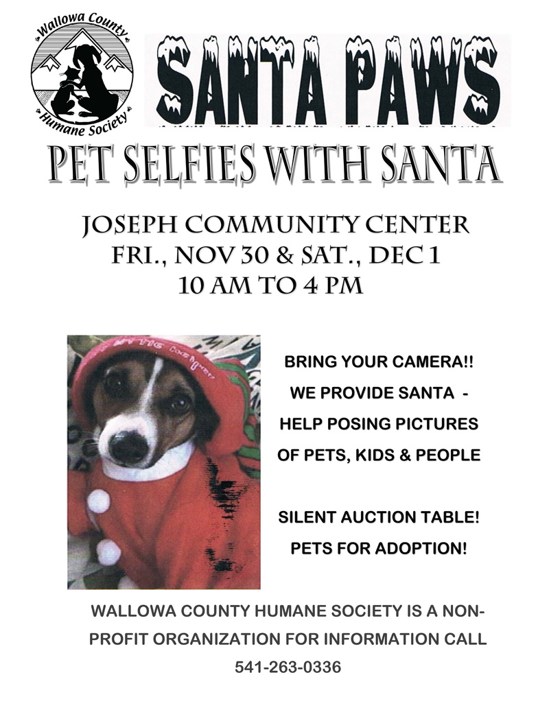 2018 Santa Paws