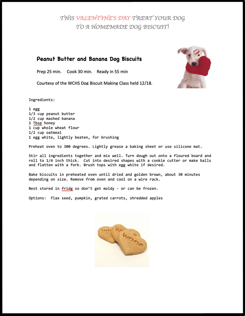 2019 Valentines Day biscuit
