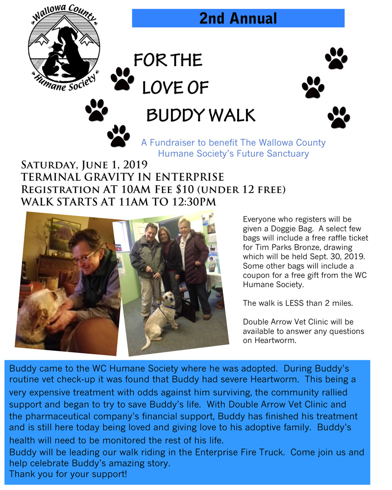 For The Love Of Buddy Flyer 2019