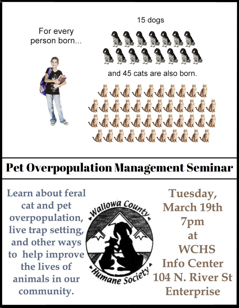March 19 2019 pet overpopulation