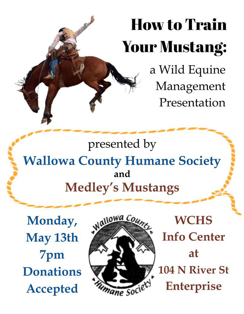 MayClass train Mustangs 2019