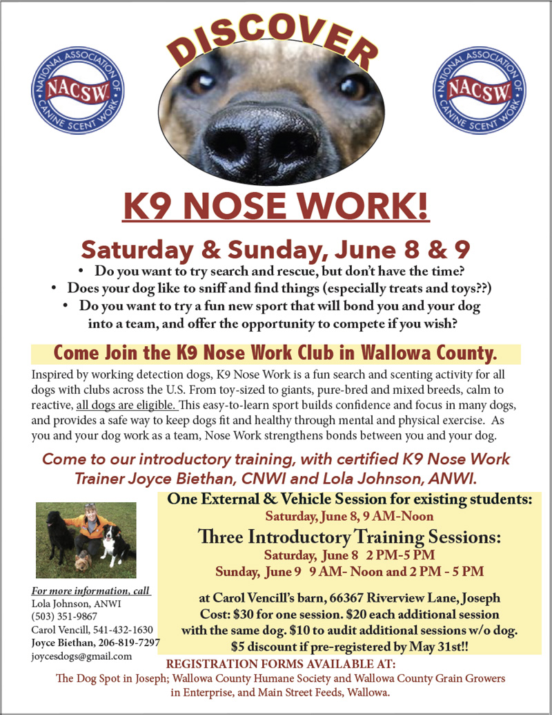 Nosework May 2019