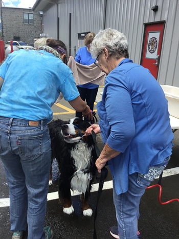 DogWash June 2021 3