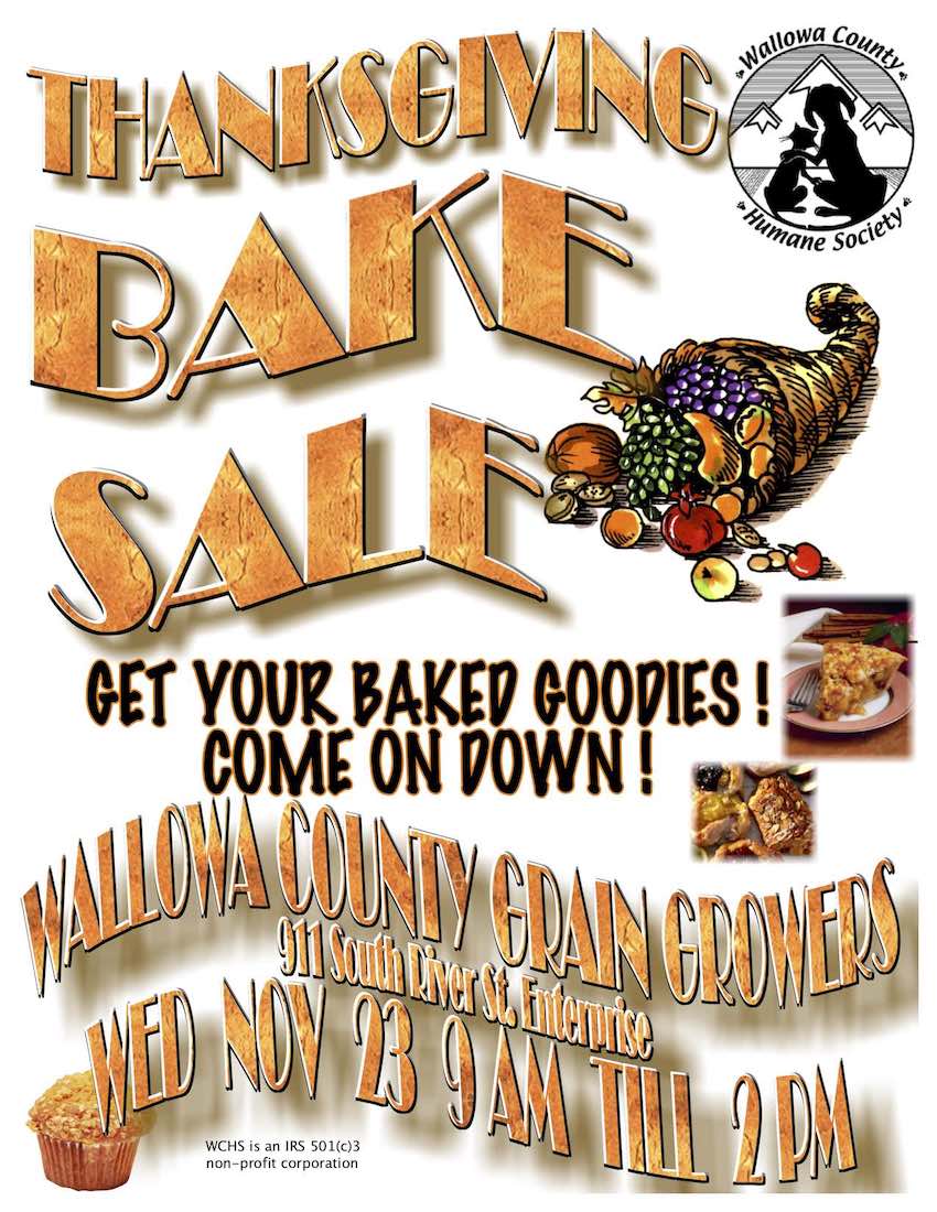 thanksgiving sale 2022