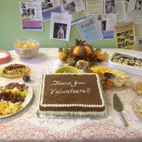 Open House & Volunteer Party